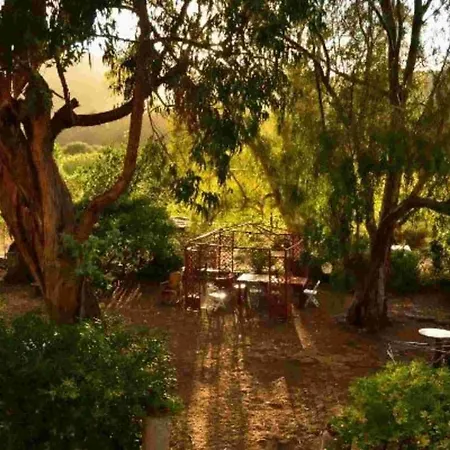 La Vecchia Trebbia Vermentino Appartement *